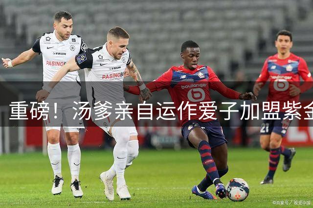 重磅！汤爹亲自运作爱子加盟紫金军团 勇士旧将或掀NBA新格局